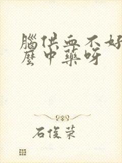 脑供血不好吃什么中药呀封面