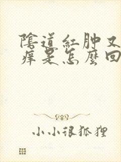 阴道红肿又疼又痒是怎么回事