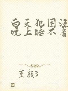 白天犯困没精神晚上睡不着封面