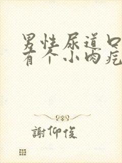 男性尿道口里面有个小肉疙瘩