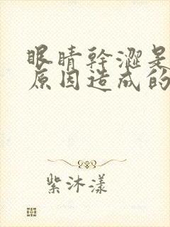 眼睛干涩是什么原因造成的