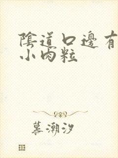 阴道口边有白色小肉粒封面