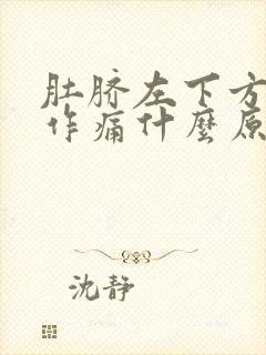 肚脐左下方隐隐作痛什么原因封面