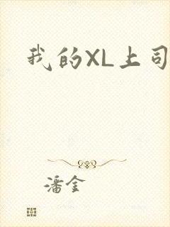 我的XL上司