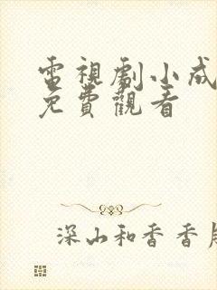 电视剧小成大事免费观看