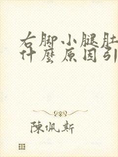 右脚小腿肚胀痛什么原因引起的