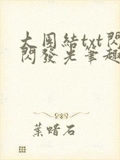 大团结txt闪闪发光笔趣阁