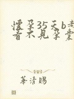 怀孕35天b超看不见孕囊