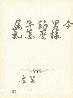 属牛的男今年运气怎么样