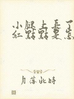 小腿上长了很多红点点是怎么回事