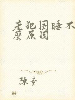 老犯困睡不着什么原因