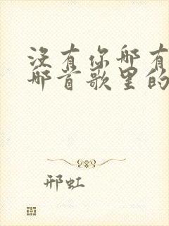 没有你哪有我是哪首歌里的歌词