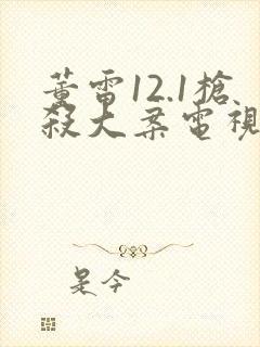 董雷12.1枪杀大案电视剧