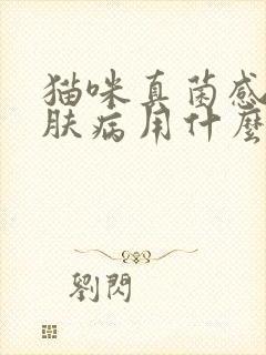 猫咪真菌感染皮肤病用什么药最好