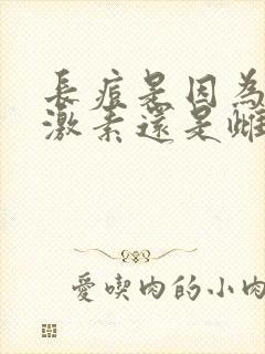 长痘是因为雄性激素还是雌性激素