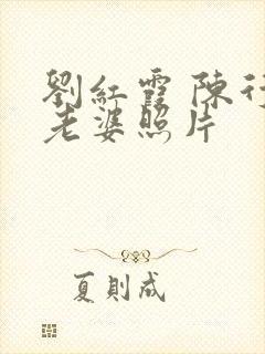 刘红霞 陈行甲老婆照片