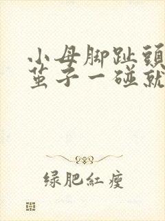 小母脚趾头磨出茧子一碰就疼