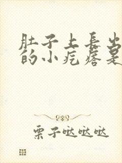 肚子上长出硬硬的小疙瘩是怎么回事封面