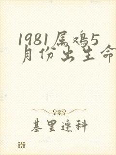 1981属鸡5月份出生命运如何封面