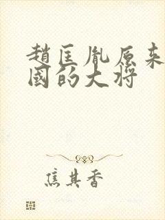 赵匡胤原来是哪国的大将