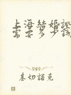 上海结婚证公证需要多少钱封面