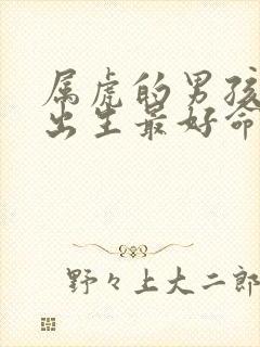 属虎的男孩几点出生最好命