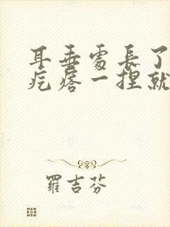 耳垂处长了一个疙瘩一捏就疼