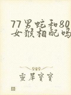 77男蛇和80女猴相配吗封面