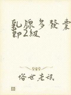 乳腺多发囊性结节2级