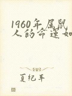 1960年属鼠人的命运如何