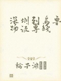 深圳到乌鲁木齐物流专线