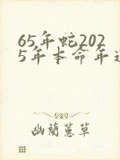65年蛇2025年本命年运势封面