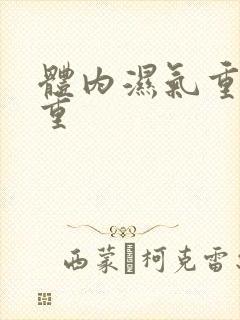 体内湿气重寒气重