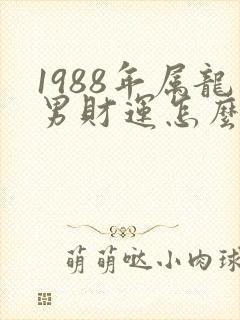 1988年属龙男财运怎么样