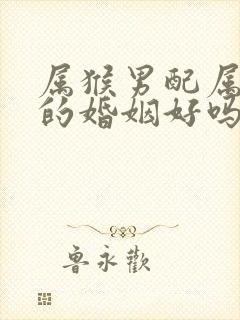 属猴男配属虎女的婚姻好吗封面