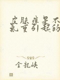 皮肤痒是不是湿气重引起的