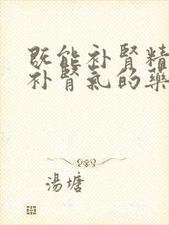 既能补肾精又能补肾气的药