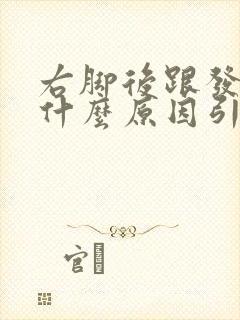 右脚后跟发麻是什么原因引起的封面