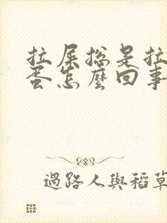 拉屎总是拉羊屎蛋怎么回事