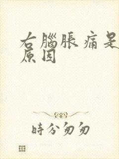 右脑胀痛是什么原因封面