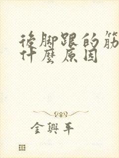 后脚跟的筋痛是什么原因