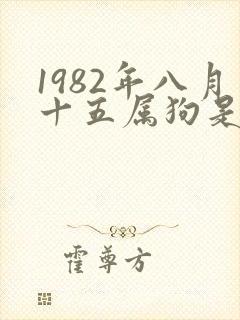 1982年八月十五属狗是什么命