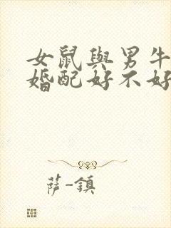 女鼠与男牛属相婚配好不好