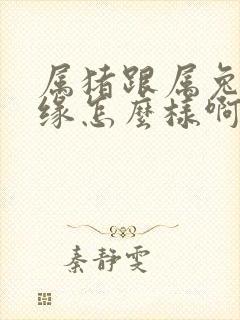 属猪跟属兔的姻缘怎么样啊