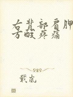 右背部肩胛骨下方酸疼痛