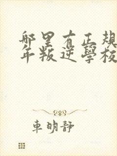 哪里有正规青少年叛逆学校