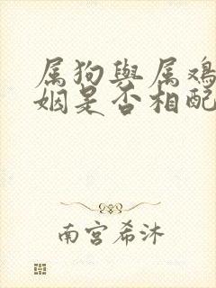 属狗与属鸡的婚姻是否相配