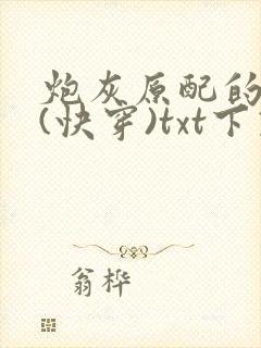 炮灰原配的人生(快穿)txt下载