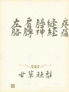 左肩膀缝疼带着胳膊神经痛封面