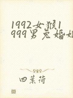 1992女猴1999男兔婚姻相配吗